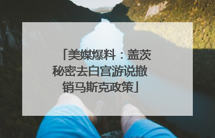 美媒爆料：盖茨秘密去白宫游说撤销马斯克政策