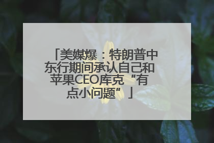 美媒爆：特朗普中东行期间承认自己和苹果CEO库克“有点小问题”