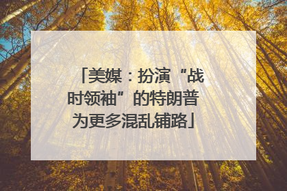 美媒：扮演“战时领袖”的特朗普为更多混乱铺路