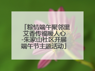 粽情端午聚邻里 艾香传福暖人心-朱家山社区开展端午节主题活动