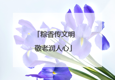 粽香传文明 敬老润人心