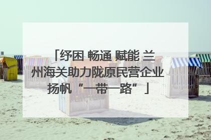 纾困 畅通 赋能 兰州海关助力陇原民营企业扬帆“一带一路”