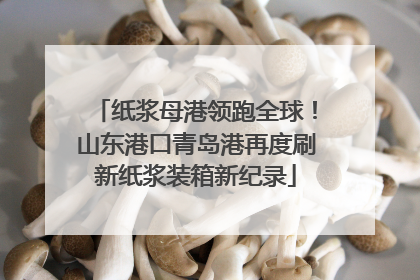 纸浆母港领跑全球！山东港口青岛港再度刷新纸浆装箱新纪录