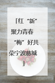 红“新”聚力青春 “梅”好共荣宁波慈城
