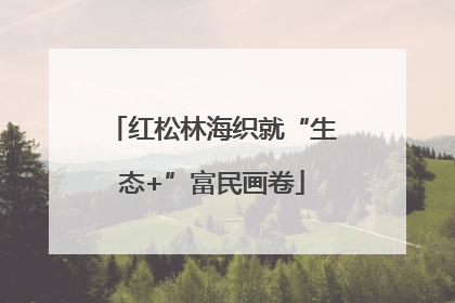 红松林海织就“生态+”富民画卷