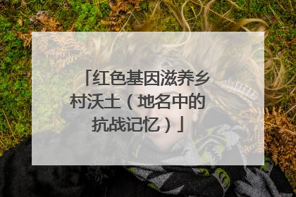 红色基因滋养乡村沃土（地名中的抗战记忆）