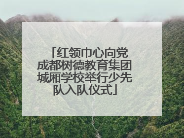 红领巾心向党 成都树德教育集团城厢学校举行少先队入队仪式