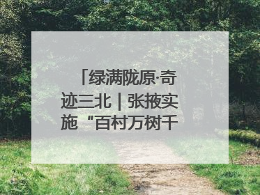 绿满陇原·奇迹三北｜张掖实施“百村万树千里林”工程