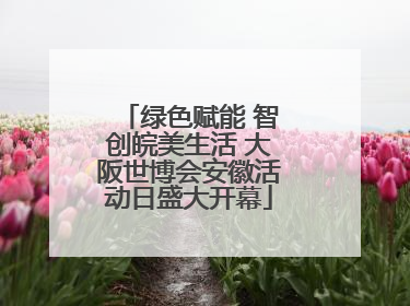 绿色赋能 智创皖美生活 大阪世博会安徽活动日盛大开幕