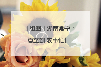 组图丨湖南常宁：夏至到 农事忙