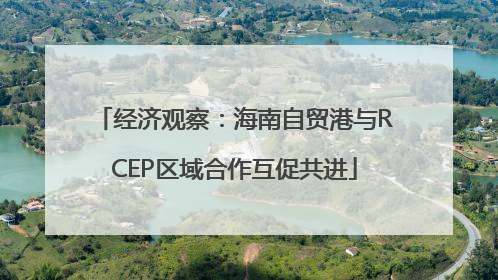 经济观察：海南自贸港与RCEP区域合作互促共进