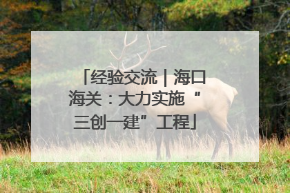 经验交流｜海口海关：大力实施“三创一建”工程