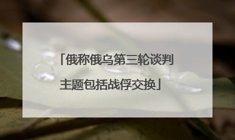 俄称俄乌第三轮谈判主题包括战俘交换
