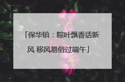 保华镇：粽叶飘香话新风 移风易俗过端午