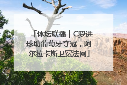 体坛联播｜C罗进球助葡萄牙夺冠，阿尔拉卡斯卫冕法网