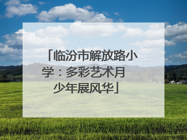 临汾市解放路小学：多彩艺术月 少年展风华