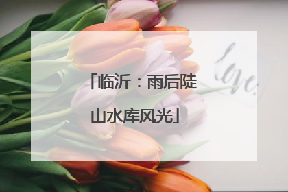 临沂：雨后陡山水库风光