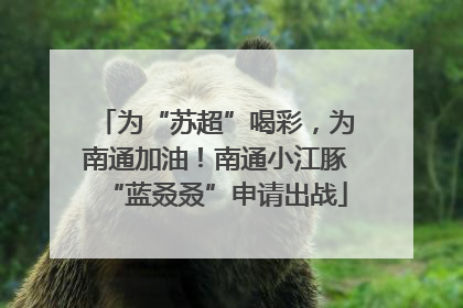 为“苏超”喝彩，为南通加油！南通小江豚“蓝叒叒”申请出战