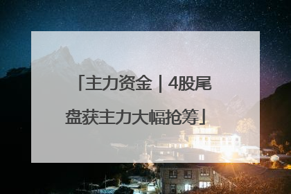 主力资金｜4股尾盘获主力大幅抢筹