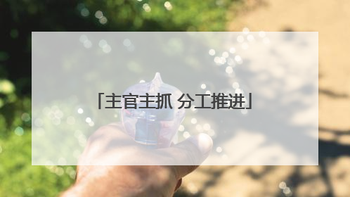 主官主抓 分工推进