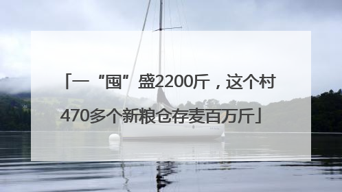 一“囤”盛2200斤，这个村470多个新粮仓存麦百万斤