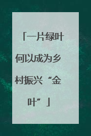 一片绿叶何以成为乡村振兴“金叶”