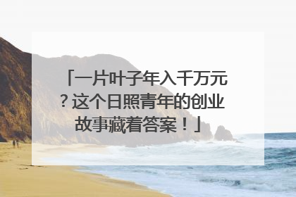 一片叶子年入千万元？这个日照青年的创业故事藏着答案！