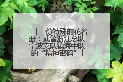 一份特殊的花名册：武警浙江总队宁波支队镇海中队的“精神密码”