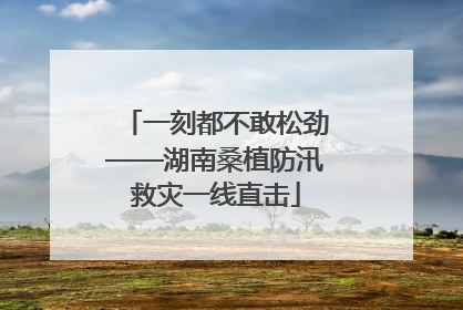 一刻都不敢松劲——湖南桑植防汛救灾一线直击