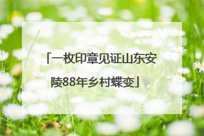 一枚印章见证山东安陵88年乡村蝶变