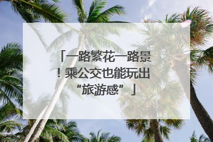 一路繁花一路景！乘公交也能玩出“旅游感”