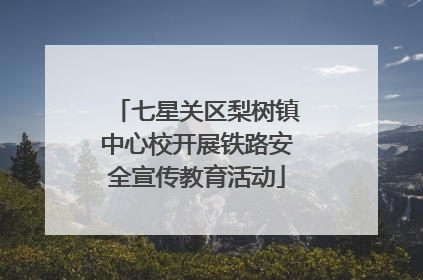 七星关区梨树镇中心校开展铁路安全宣传教育活动