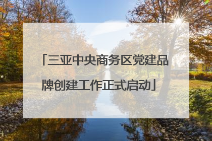 三亚中央商务区党建品牌创建工作正式启动