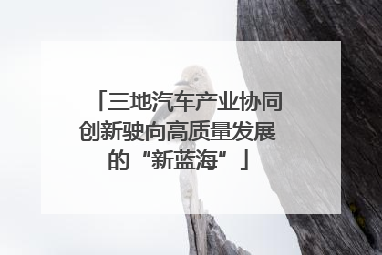 三地汽车产业协同创新驶向高质量发展的“新蓝海”