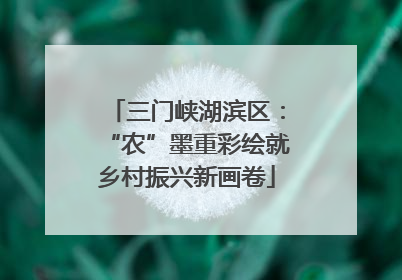 三门峡湖滨区：“农”墨重彩绘就乡村振兴新画卷