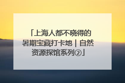 上海人都不晓得的 暑期宝藏打卡地｜自然资源探馆系列②
