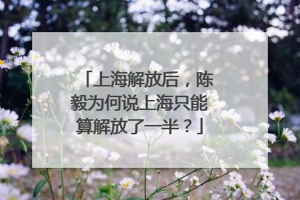 上海解放后，陈毅为何说上海只能算解放了一半？