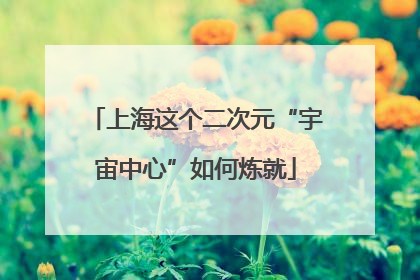 上海这个二次元“宇宙中心”如何炼就