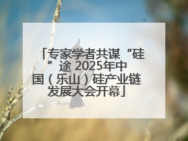 专家学者共谋“硅”途 2025年中国（乐山）硅产业链发展大会开幕
