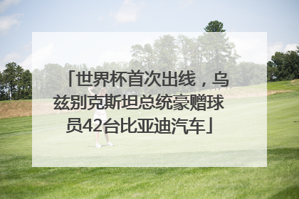 世界杯首次出线，乌兹别克斯坦总统豪赠球员42台比亚迪汽车