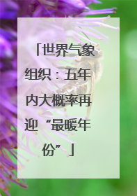 世界气象组织：五年内大概率再迎“最暖年份”