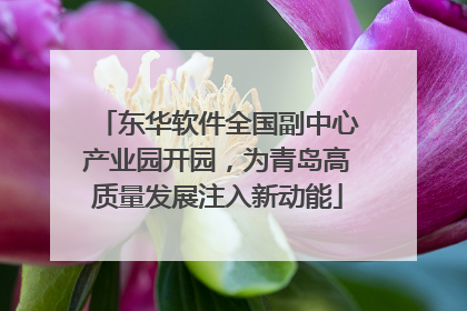 东华软件全国副中心产业园开园，为青岛高质量发展注入新动能