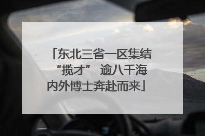 东北三省一区集结“揽才” 逾八千海内外博士奔赴而来