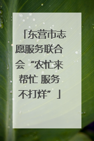 东营市志愿服务联合会“农忙来帮忙 服务不打烊”