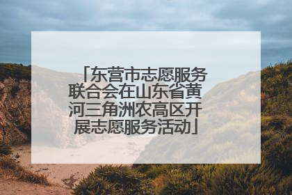 东营市志愿服务联合会在山东省黄河三角洲农高区开展志愿服务活动