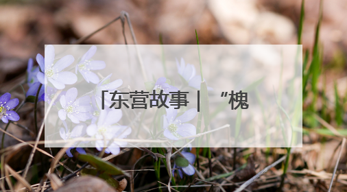 东营故事｜“槐林二奶奶”的“土潮”出圈密码