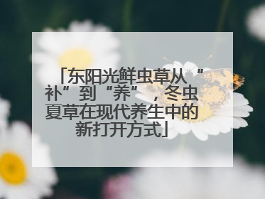 东阳光鲜虫草从“补”到“养”，冬虫夏草在现代养生中的新打开方式