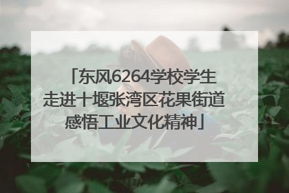 东风6264学校学生走进十堰张湾区花果街道感悟工业文化精神