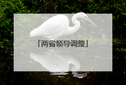 两省领导调整