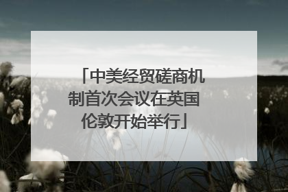 中美经贸磋商机制首次会议在英国伦敦开始举行